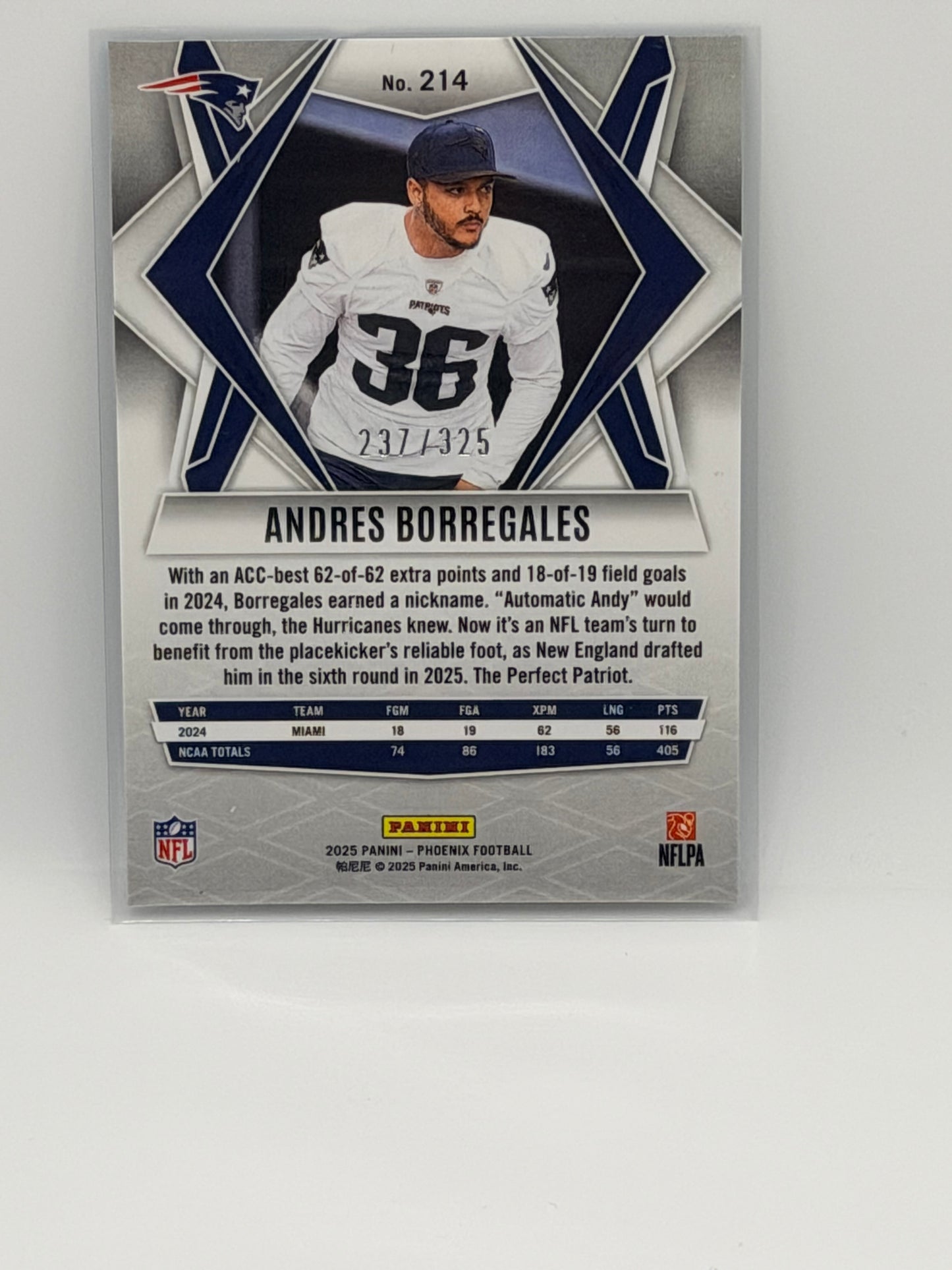 Andres Borregales